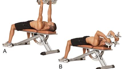 Alle Übungen aus dem Trainingsplan der Sixpack-Challenge 2015 Alle Übungen aus dem Trainingsplan der Sixpack-Challenge 2015