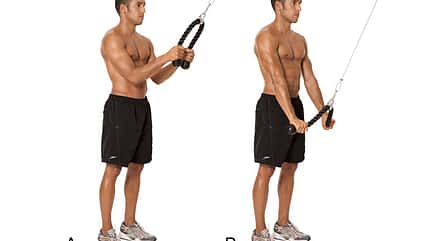 Alle Übungen aus dem Trainingsplan der Sixpack-Challenge 2015 Alle Übungen aus dem Trainingsplan der Sixpack-Challenge 2015