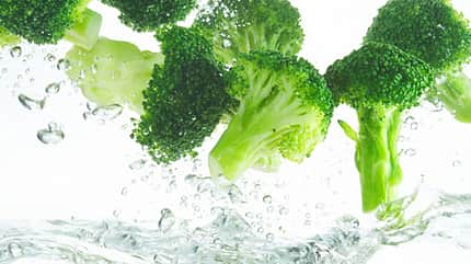 Broccoli Broccoli
