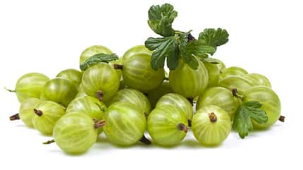 Kalorienarmes Obst: Top 20 mit wenig Kalorien Kalorienarmes Obst: Top 20 mit wenig Kalorien