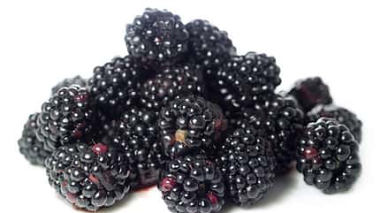 Kalorienarmes Obst: Top 20 mit wenig Kalorien Kalorienarmes Obst: Top 20 mit wenig Kalorien