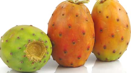 Kalorienarmes Obst: Top 20 mit wenig Kalorien Kalorienarmes Obst: Top 20 mit wenig Kalorien
