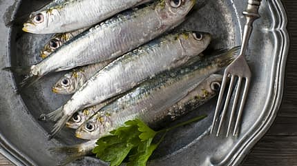 Der vitaminreichste Fisch: die Sardine Der vitaminreichste Fisch: die Sardine