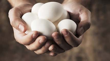Muskelaufbau: Eier Muskelaufbau: Eier