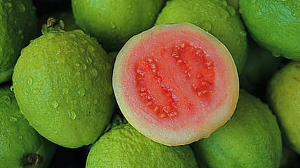 100 g Guaven liefern 273 Milligramm Vitamin C 100 g Guaven liefern 273 Milligramm Vitamin C