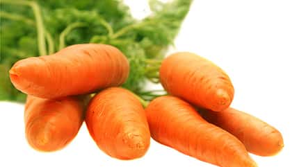 Karotten gehören zur gesunden Ernährung dazu Karotten gehören zur gesunden Ernährung dazu