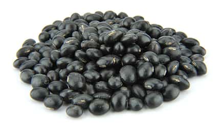 Schwarze Bohnen zählen zur gesunden Ernährung Schwarze Bohnen zählen zur gesunden Ernährung