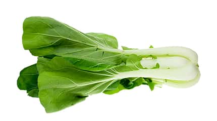 Pok Choi zählt zur gesunden ernährung Pok Choi zählt zur gesunden ernährung