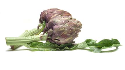 Artischocken gehören zur gesunden Ernährung dazu Artischocken gehören zur gesunden Ernährung dazu
