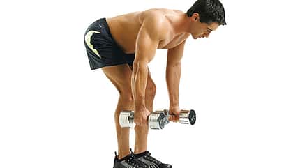 Das Eishockey-Profi-Training Das Eishockey-Profi-Training
