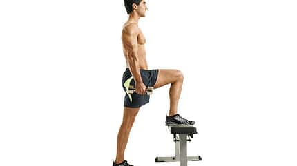 Das Eishockey-Profi-Training Das Eishockey-Profi-Training