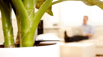 Koubachi "Wi-Fi Plant Sensor" Koubachi "Wi-Fi Plant Sensor"