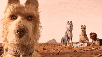Die besten Männer-Filme 2018: Isle of Dogs – Ataris Reise Die besten Männer-Filme 2018: Isle of Dogs – Ataris Reise