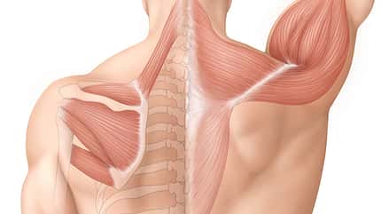 Das perfekte V-Form Training Das perfekte V-Form Training
