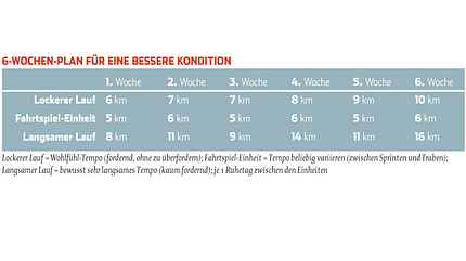 Optimale Ausdauer Optimale Ausdauer