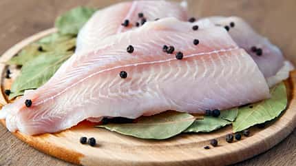 Pangasius Pangasius