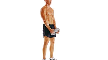 Das effektivste Einsteiger-Workout Das effektivste Einsteiger-Workout