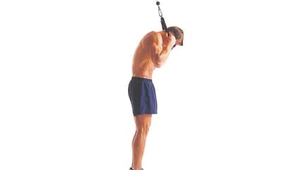 Das effektivste Einsteiger-Workout Das effektivste Einsteiger-Workout