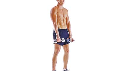 Das effektivste Einsteiger-Workout Das effektivste Einsteiger-Workout