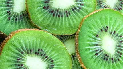 sh_Kiwi_450.jpg