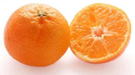 Mandarine Mandarine