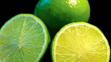 Die grasgrüne Limette sieht aus wie eine kleine Zitrone Die grasgrüne Limette sieht aus wie eine kleine Zitrone
