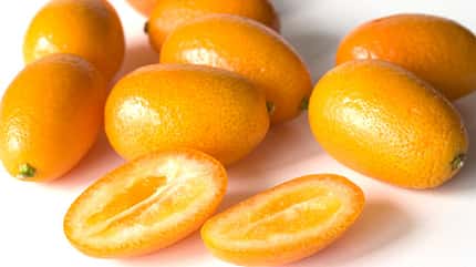 Kumquats sind vier Zenitemter lang und pflaumenförmig Kumquats sind vier Zenitemter lang und pflaumenförmig