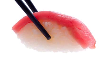 Tunfisch enthält viel Vitamin D Tunfisch enthält viel Vitamin D