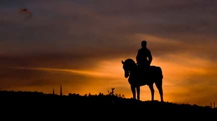sh_88586506_Stress_Reiten_800x462.jpg sh_88586506_Stress_Reiten_800x462.jpg