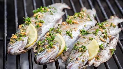 So gelingt Ihnen jeder Fisch