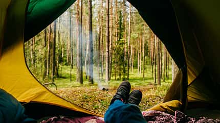 Mikro-Abenteuer: Übernachten im Wald Mikro-Abenteuer: Übernachten im Wald