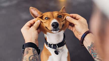 Auf Ihr Profilbild gehören nur Sie Auf Ihr Profilbild gehören nur Sie