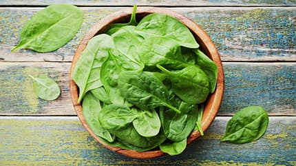 Spinat ist ein echtes Superfood Spinat ist ein echtes Superfood