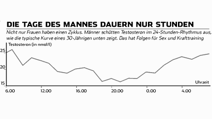 Die Testosteronkurve bei Männern. Die Testosteronkurve bei Männern.