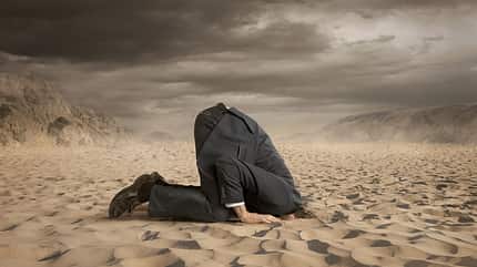 Stecken Sie nicht den Kopf in den Sand Stecken Sie nicht den Kopf in den Sand