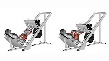Fatburner Übung Beinpresse Fatburner Übung Beinpresse