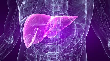 Die Kombination macht's: Blut-, Blutzucker, und Leberwerte, sowie der Fatty-Liver-Index können eine Fettleber diagnostizieren. Die Kombination macht's: Blut-, Blutzucker, und Leberwerte, sowie der Fatty-Liver-Index können eine Fettleber diagnostizieren.