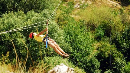 Flying Fox Flying Fox