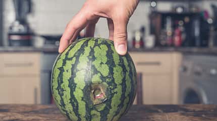 Die Melone wird als Masturbator zweckentfremdet Die Melone wird als Masturbator zweckentfremdet