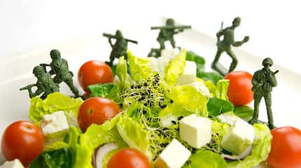 Abnehmen ohne zu Hungern? Unwahrscheinlich bei der Militär-Diät Abnehmen ohne zu Hungern? Unwahrscheinlich bei der Militär-Diät