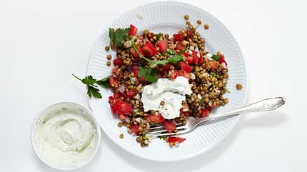 Lecker, Linsensalat! Lecker, Linsensalat!