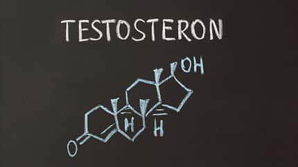 Testosteron: Das männlichste aller Hormone Testosteron: Das männlichste aller Hormone