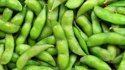 Edamame liefern rund 30 Prozent pflanzliches Protein Edamame liefern rund 30 Prozent pflanzliches Protein