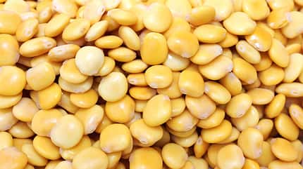Aus den Samen der Süßlupine können diverse Produkte hergestellt werden wie Aus den Samen der Süßlupine können diverse Produkte hergestellt werden wie