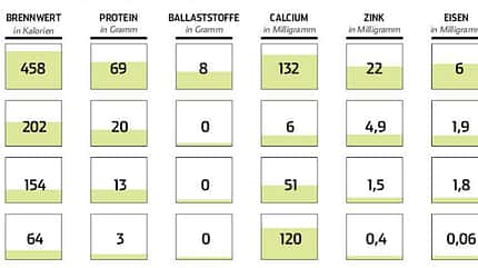 Insekten versus Fleisch, Milch & Co. Insekten versus Fleisch, Milch & Co.