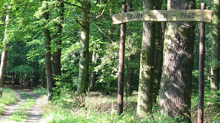 Die idyllische Waldlage des Parcours in Klötze garantiert eine entspannte Trainingsatmosphäre Die idyllische Waldlage des Parcours in Klötze garantiert eine entspannte Trainingsatmosphäre