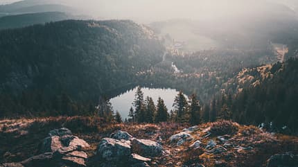 Der Feldsee (auch Feldbergsee genannt) liegt im Süden Baden-Württembergs am Fuße des Feldbergs Der Feldsee (auch Feldbergsee genannt) liegt im Süden Baden-Württembergs am Fuße des Feldbergs