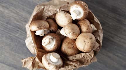Pilze sind nur wenige Tage haltbar Pilze sind nur wenige Tage haltbar