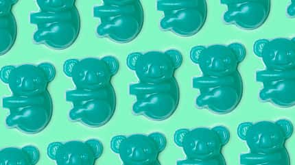 Lush Koala Charity Soap Lush Koala Charity Soap