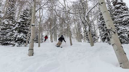 Ab durch die Bäume: Utah ist perfekt fürs Tree Skiing Ab durch die Bäume: Utah ist perfekt fürs Tree Skiing